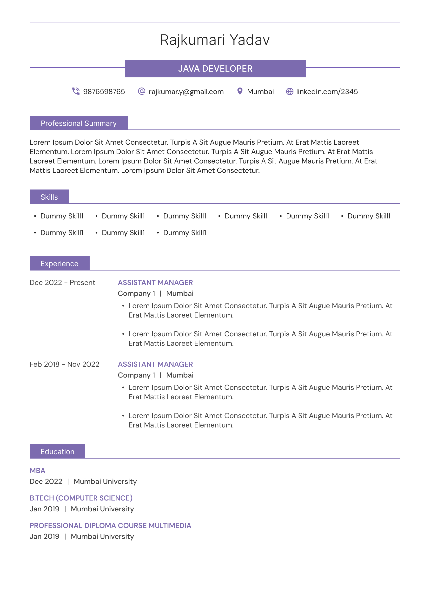 Professional Resume Template 2 - Modern ATS-Friendly CV Design for Career Success